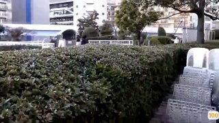 老司机剧场免费试看视频㊙️➕免费AV手机在线观看片